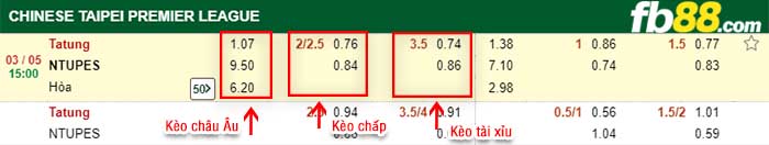 fb88-tỷ lệ kèo chấp Tatung vs NTUPES
