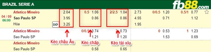 fb88-tỷ lệ kèo chấp Atletico Mineiro vs Sao Paulo