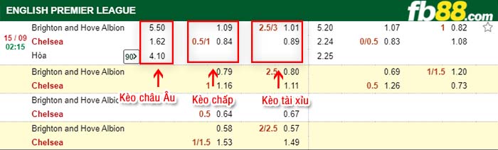 fb88-tỷ lệ kèo chấp Brighton Hove Albion vs Chelsea