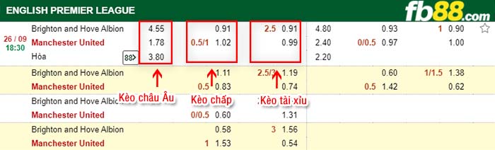 fb88-tỷ lệ kèo chấp Brighton Hove Albion vs Manchester United