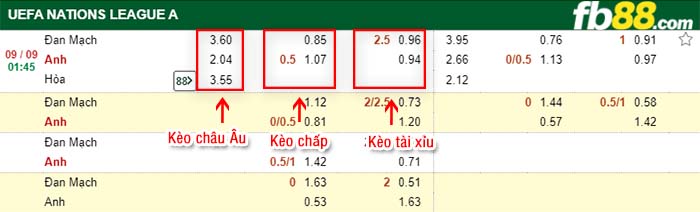 fb88-tỷ lệ kèo chấp Đan Mạch vs Anh