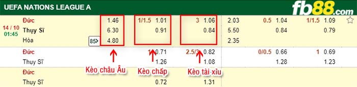 fb88-tỷ lệ kèo chấp Duc vs Thuy Si