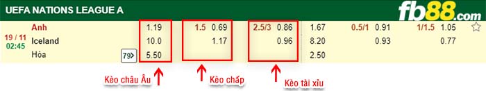 fb88-tỷ lệ kèo chấp Anh vs Iceland