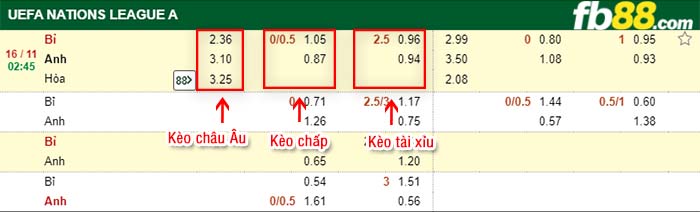 fb88-tỷ lệ kèo chấp Bi vs Anh