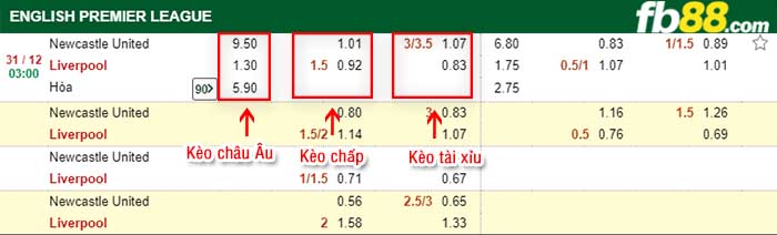 fb88-tỷ lệ kèo chấp Newcastle vs Liverpool