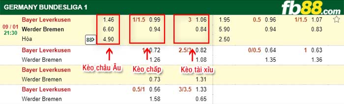 fb88-kèo chấp Leverkusen vs Bremen
