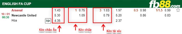fb88-tỷ lệ kèo chấp Arsenal vs Newcastle