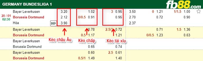 fb88-tỷ lệ kèo chấp Leverkusen vs Dortmund