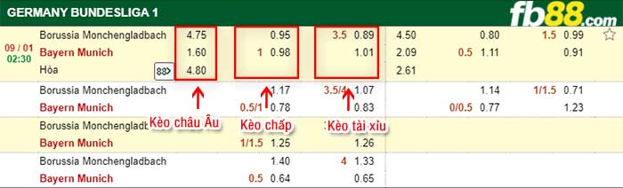 fb88-tỷ lệ kèo chấp Monchengladbach vs Bayern Munich