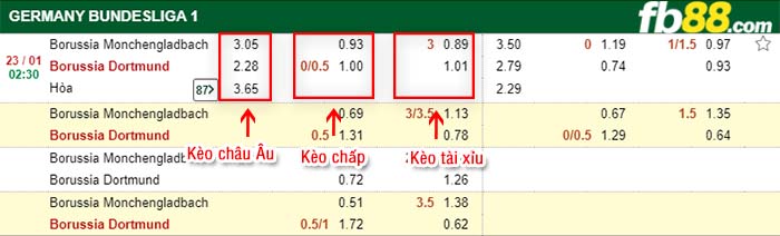 fb88-tỷ lệ kèo chấp Monchengladbach vs Dortmund