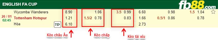 fb88-tỷ lệ kèo chấp Wycombe vs Tottenham