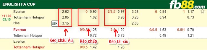 fb88-tỷ lệ kèo chấp Everton vs Tottenham