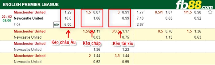 fb88-tỷ lệ kèo chấp Man Utd vs Newcastle