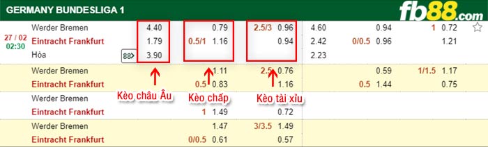 fb88-tỷ lệ kèo chấp Werder Bremen vs Eintracht Frankfurt