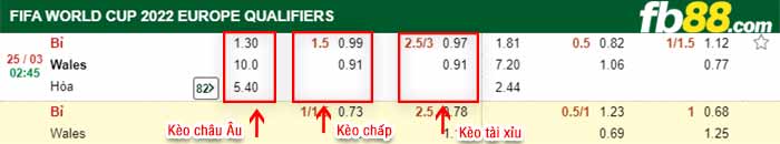 fb88-tỷ lệ kèo chấp Bi vs Wales