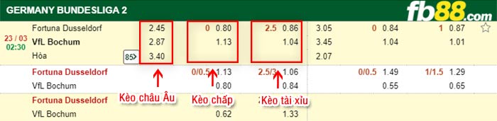 fb88-tỷ lệ kèo chấp Fortuna Dusseldorf vs Bochum