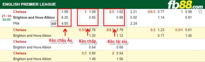 fb88-tỷ lệ kèo chấp Chelsea vs Brighton