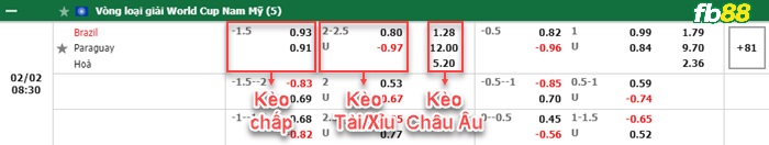 Fb88 bảng kèo trận đấu Brazil vs Paraguay