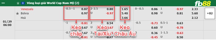 Fb88 bảng kèo trận đấu Venezuela vs Bolivia