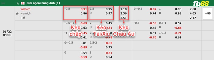 Fb88 bảng kèo trận đấu Watford vs Norwich