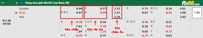 fb88 tỷ lệ kèo chấp Ecuador vs Brazil
