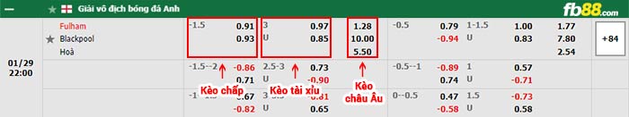 fb88 tỷ lệ kèo chấp Fulham vs Blackpool