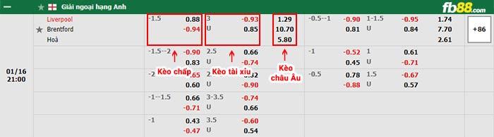 fb88 tỷ lệ kèo chấp Liverpool vs Brentford