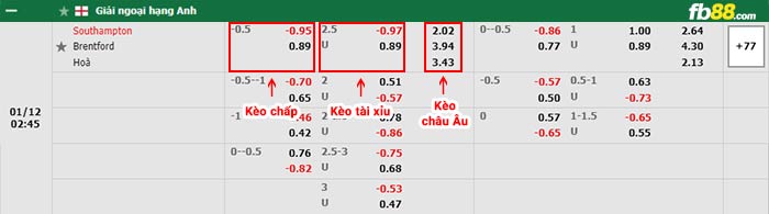 fb88 tỷ lệ kèo chấp Southampton vs Brentford