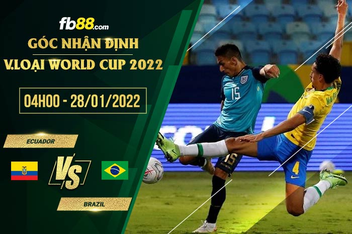 fb88 tỷ lệ kèo nhả cái Ecuador vs Brazil