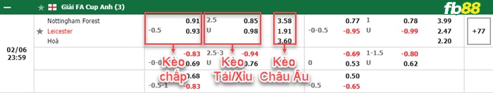 Fb88 bảng kèo trận đấu Nottingham Forest vs Leicester