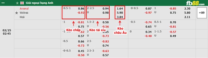 fb88 tỷ lệ kèo chấp Arsenal vs Wolves