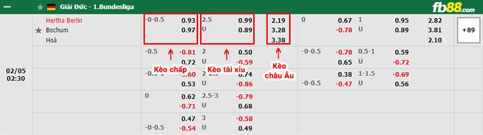 fb88 tỷ lệ kèo chấp Hertha Berlin vs Bochum