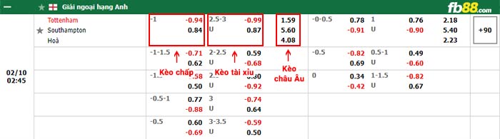 fb88 tỷ lệ kèo chấp Tottenham vs Southampton