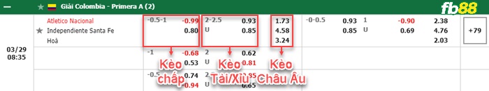 Fb88 bảng kèo trận đấu Atletico Nacional vs Independiente Santa Fe