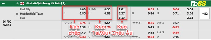 Fb88 bảng kèo trận đấu Hull City vs Huddersfield