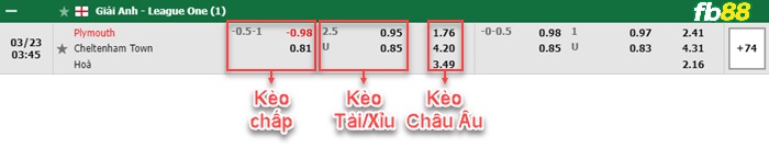 Fb88 bảng kèo trận đấu Plymouth vs Cheltenham