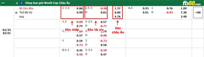 fb88 tỷ lệ kèo chấp Bo Dao Nha vs Tho Nhi Ki