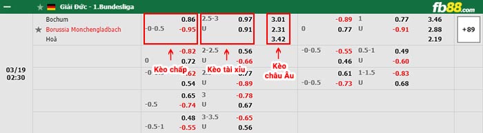 fb88 tỷ lệ kèo chấp Bochum vs Monchengladbach