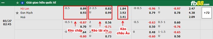 fb88 tỷ lệ kèo chấp Ha Lan vs Dan Mach