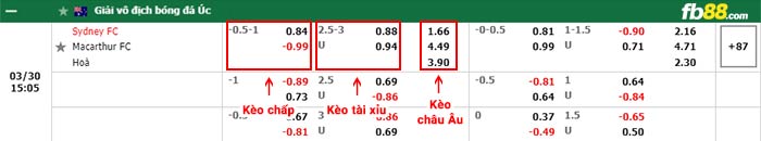 fb88 tỷ lệ kèo chấp Sydney FC vs Macarthur FC