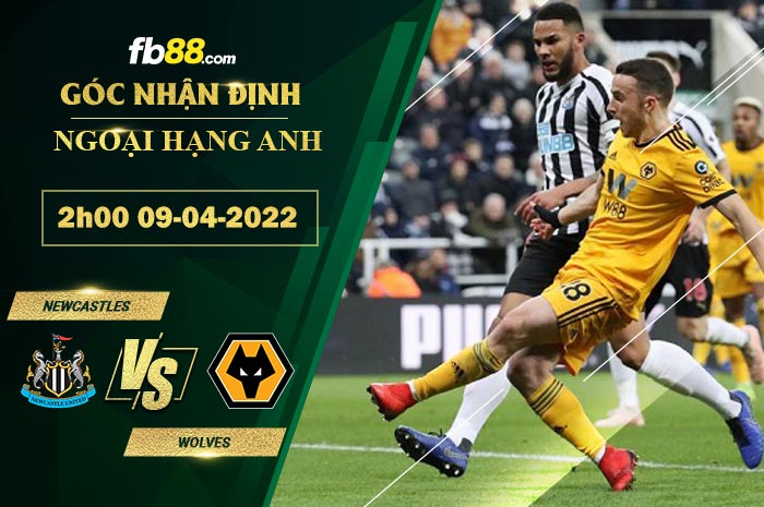 Fb88 soi kèo trận đấu Newcastles vs Wolves