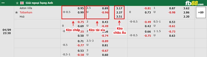 fb88 tỷ lệ kèo chấp Aston Villa vs Tottenham