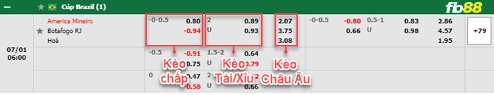 fb88 soi keo tran dau America MG vs Botafogo