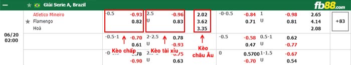 fb88 bảng kèo trận đấu Atletico Mineiro vs Flamengo