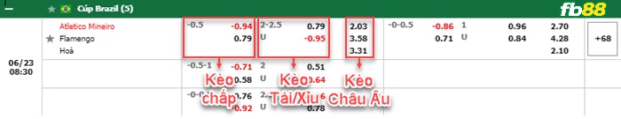 Fb88 bảng kèo trận đấu Atletico Mineiro vs Flamengo