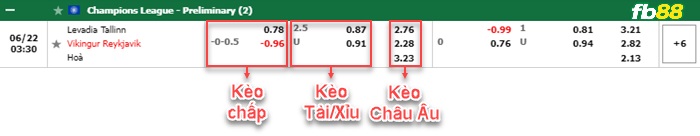 Fb88 bảng kèo trận đấu Levadia Tallinn vs Vikingur Reykjavik