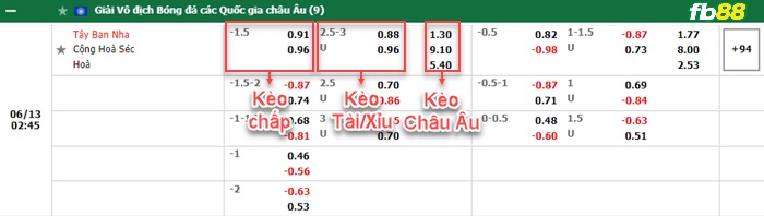 Fb88 bảng kèo trận đấu Tây Ban Nha vs CH Séc