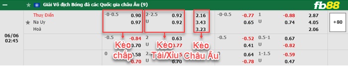 Fb88 bảng kèo trận đấu Thụy Điển vs Na Uy