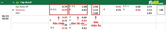 fb88 tỷ lệ kèo chấp Sao Paulo vs Palmeiras