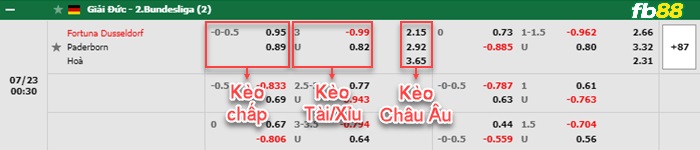 Fb88 bảng kèo trận đấu Dusseldorf vs Paderborn